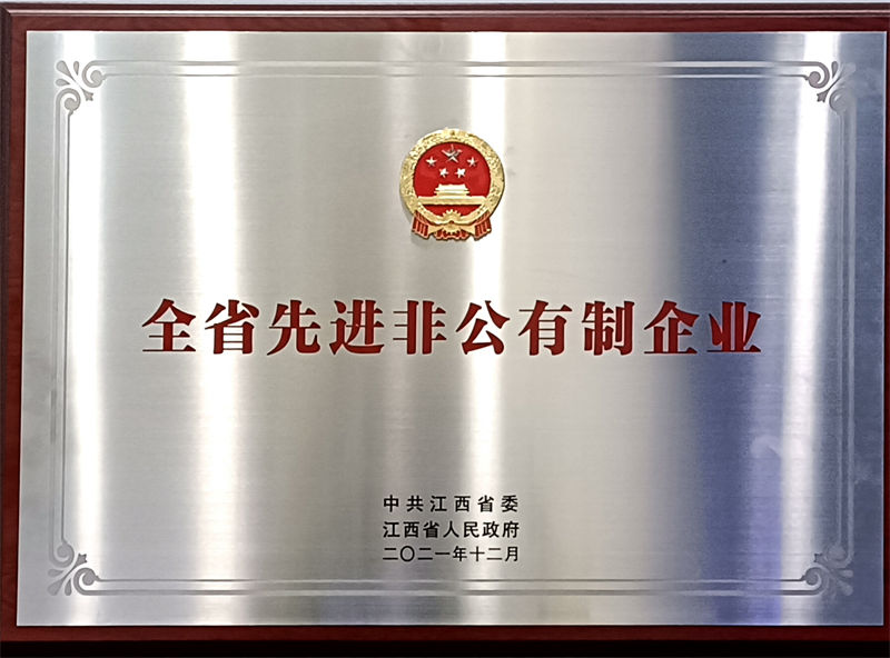 全省先(xian)進(jin)非(fei)公(gōng)有(yǒu)製(zhi)齊(qi)業